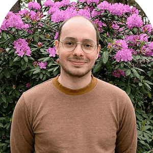 Sander Driesen